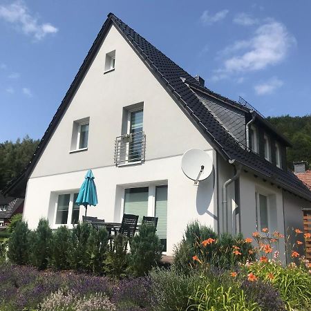 Ferienwohnungen Am Koehlerhang Bad Lauterberg Im Harz Eksteriør billede