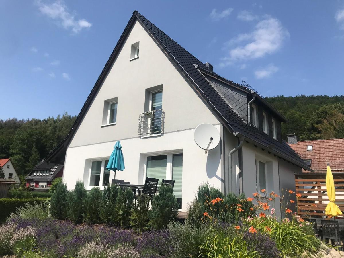 Ferienwohnungen Am Koehlerhang Bad Lauterberg Im Harz Eksteriør billede
